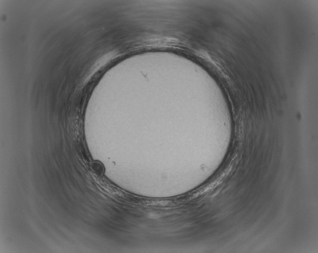 X0000067351211200604281433