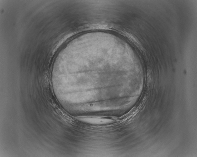 X0000067351212200604281433