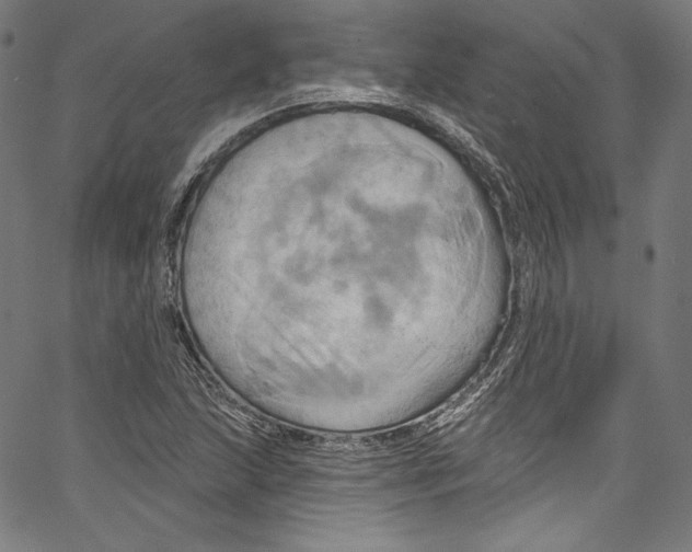 X0000067351215200604281433