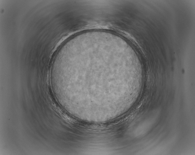 X0000067351220200604281433