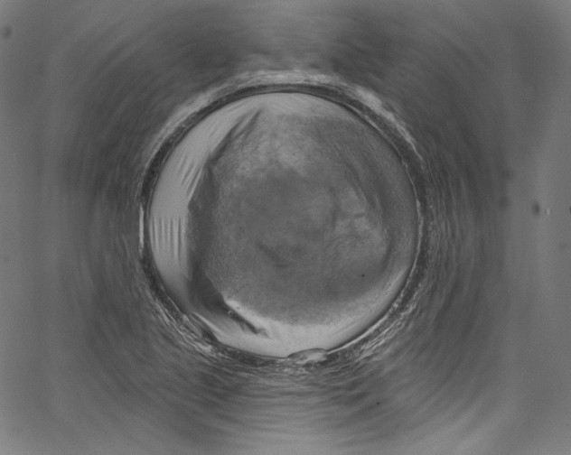 X0000067351221200604281433