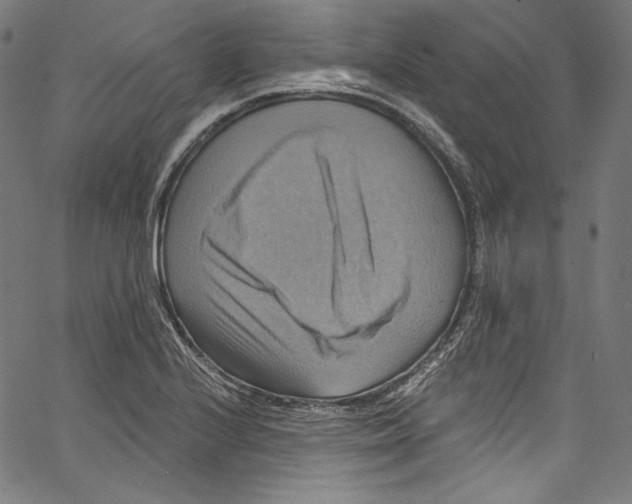 X0000067351224200604281433