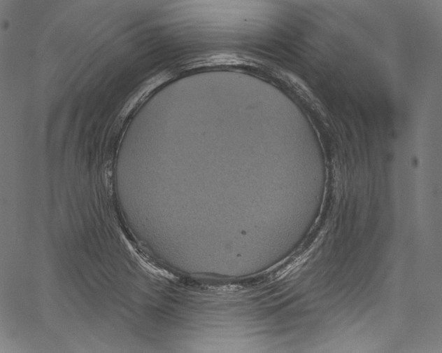 X0000067351225200604281433