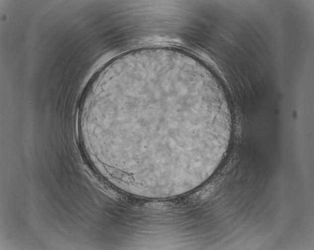 X0000067351227200604281433