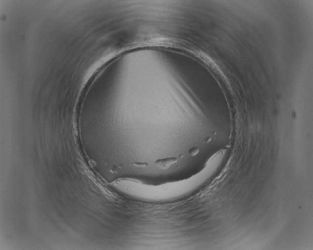 X0000067351230200604281434