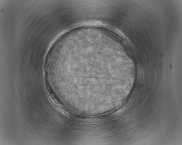 X0000067351232200604281434