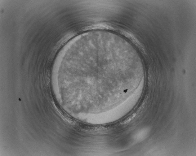 X0000067351233200604281434