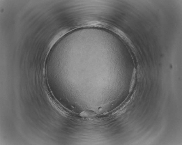 X0000067351234200604281434