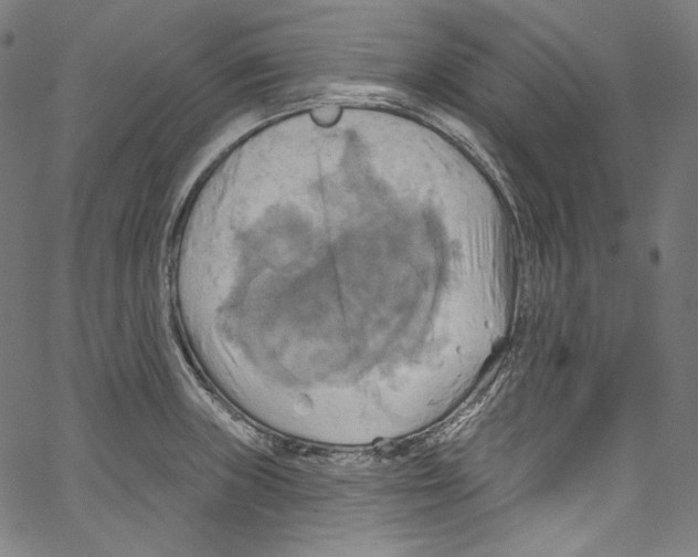 X0000067351235200604281434