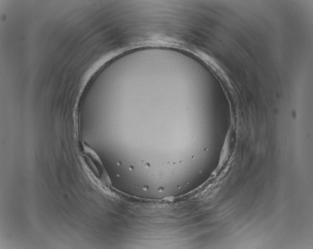 X0000067351238200604281434