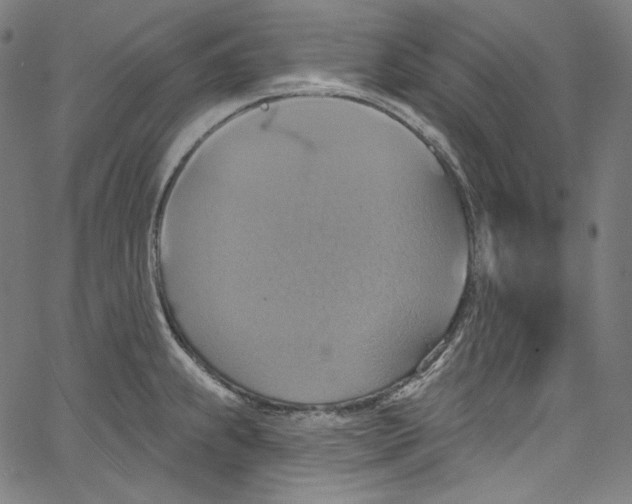 X0000067351239200604281434