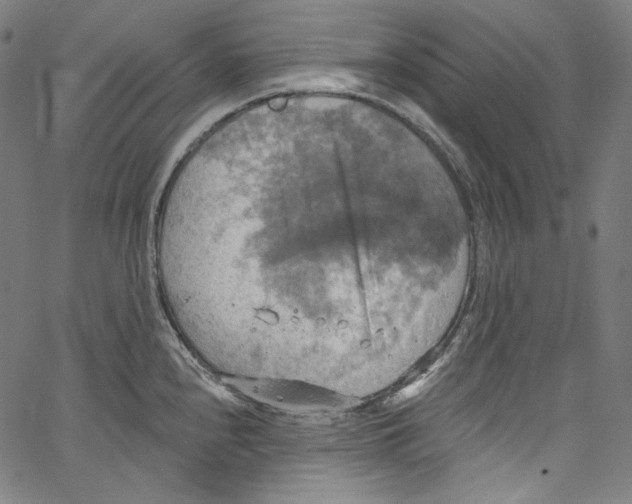 X0000067351240200604281434