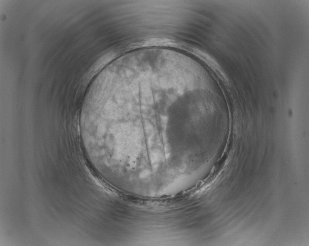 X0000067351241200604281434