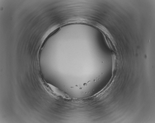 X0000067351242200604281434