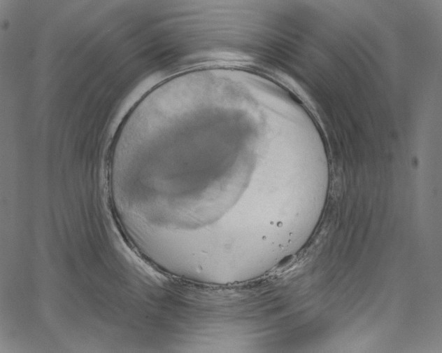 X0000067351243200604281434