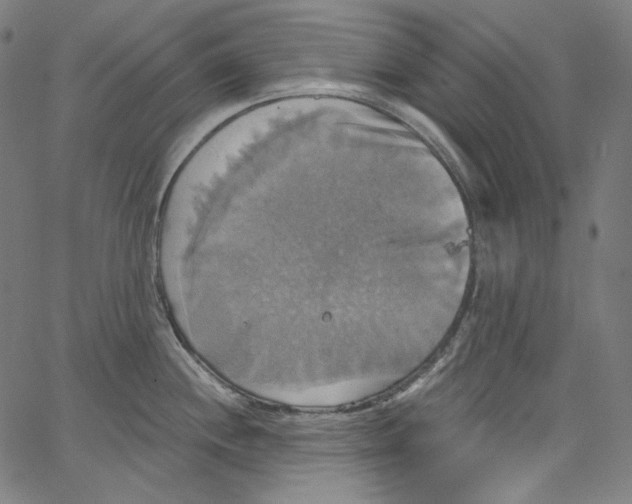 X0000067351244200604281434