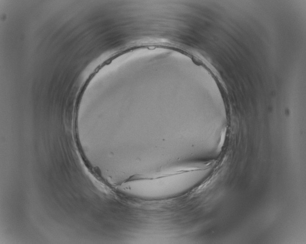 X0000067351245200604281434