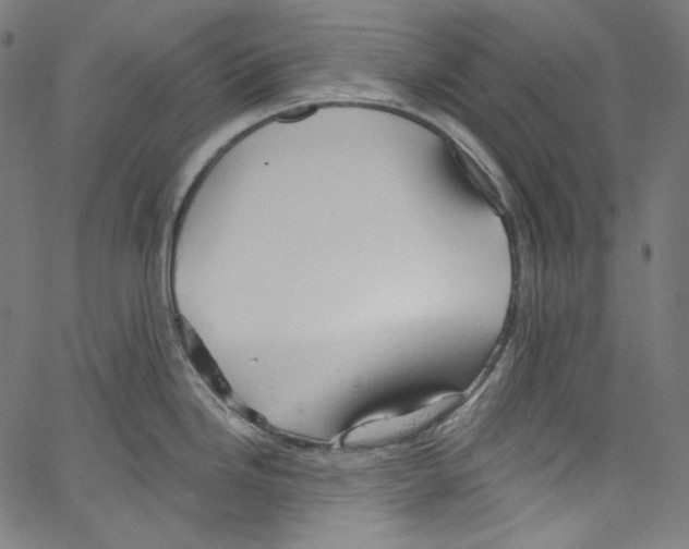 X0000067351246200604281434