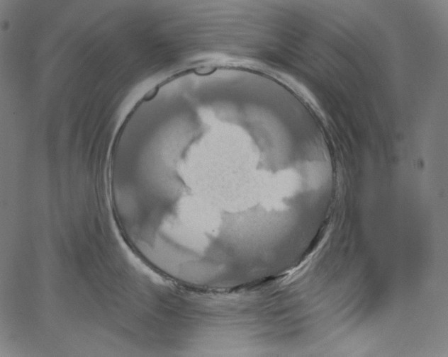 X0000067351247200604281434