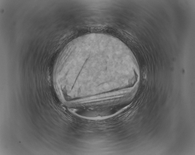 X0000067351252200604281433