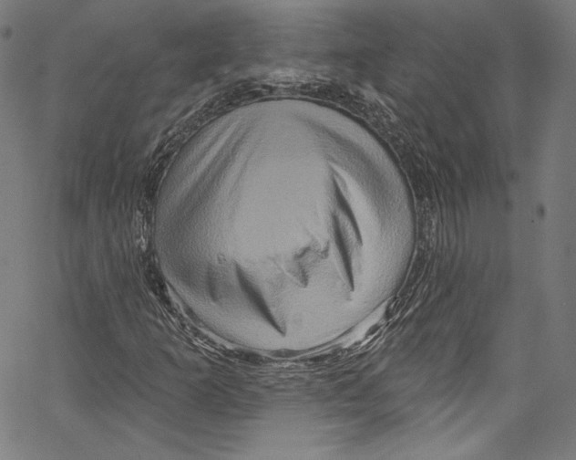 X0000067351253200604281433