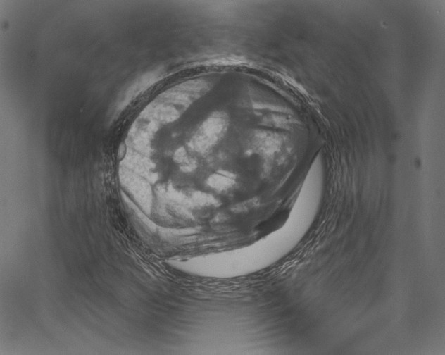 X0000067351255200604281433