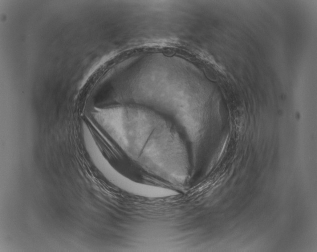 X0000067351256200604281433