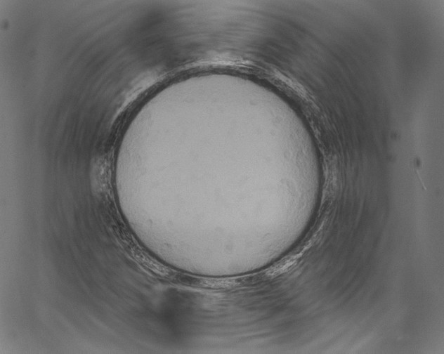 X0000067351258200604281433