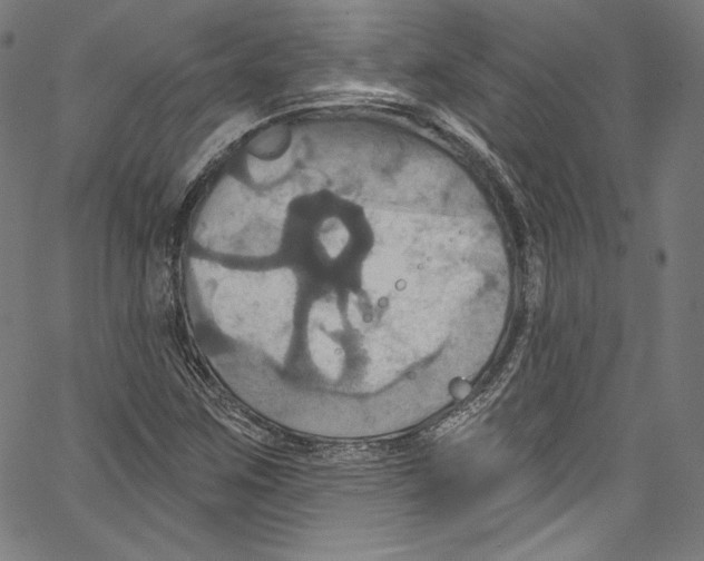 X0000067351259200604281433