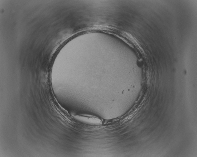 X0000067351260200604281433