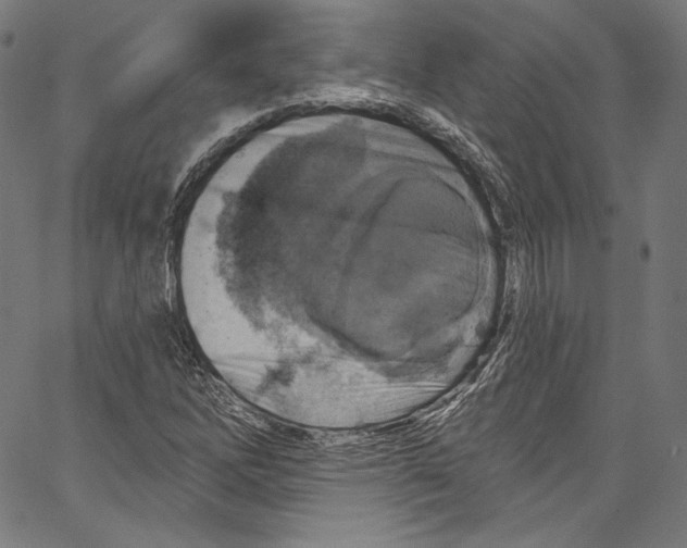 X0000067351262200604281433