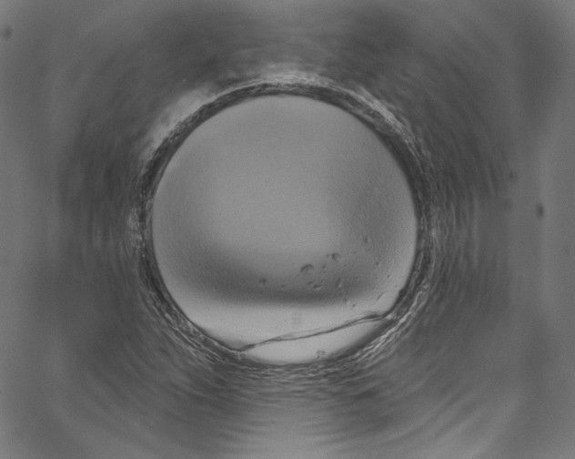 X0000067351263200604281433