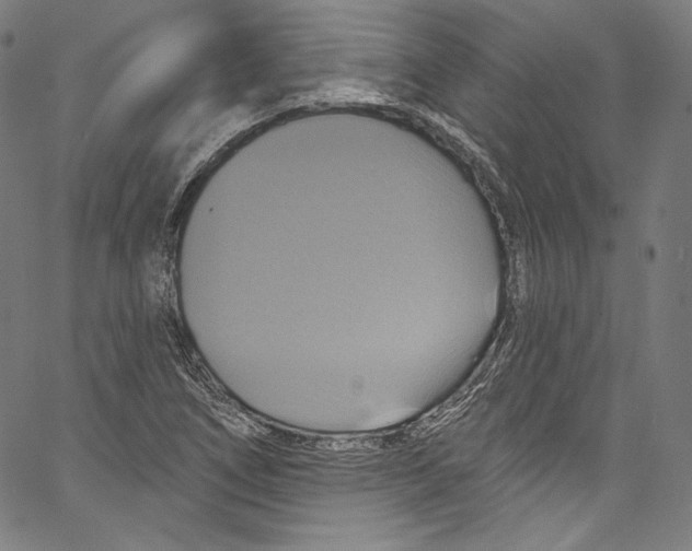 X0000067351266200604281433