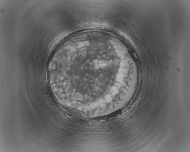 X0000067351267200604281433