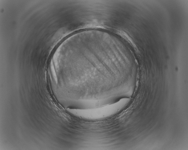 X0000067351268200604281433