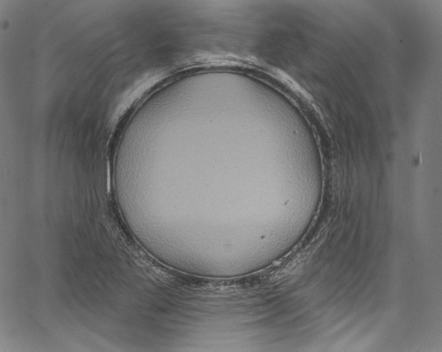 X0000067351269200604281433