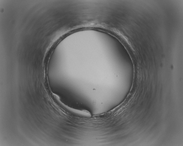 X0000067351270200604281433