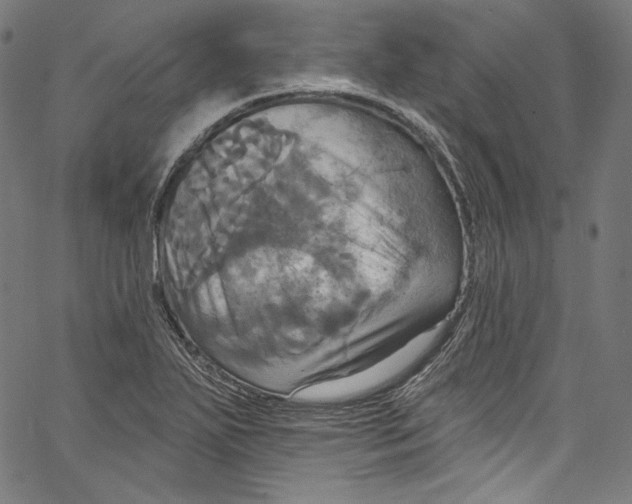 X0000067351271200604281433