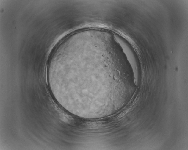 X0000067351272200604281433