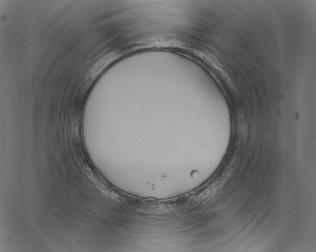 X0000067351273200604281433