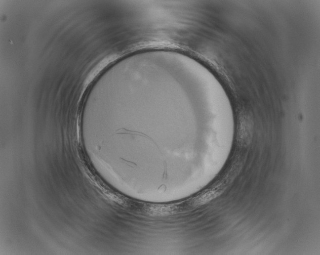 X0000067351274200604281433