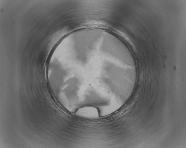 X0000067351275200604281433