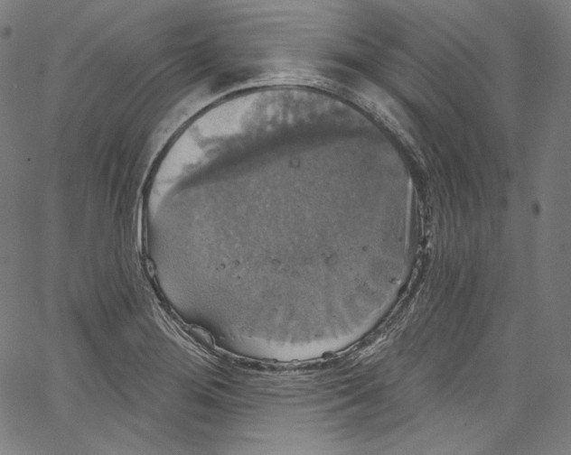 X0000067351276200604281432