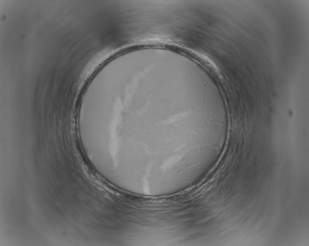 X0000067351279200604281432