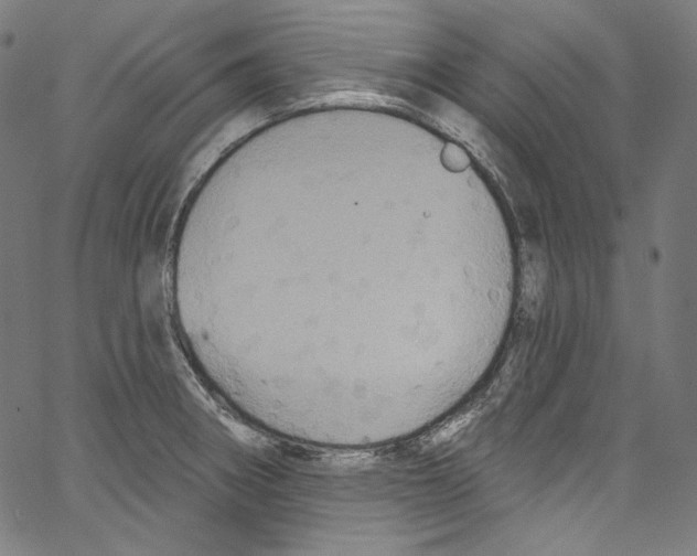 X0000067351282200604281432