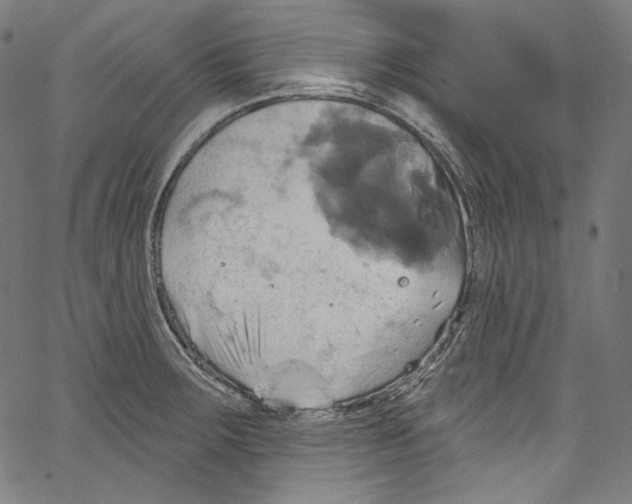 X0000067351283200604281432