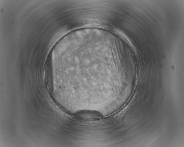 X0000067351284200604281432