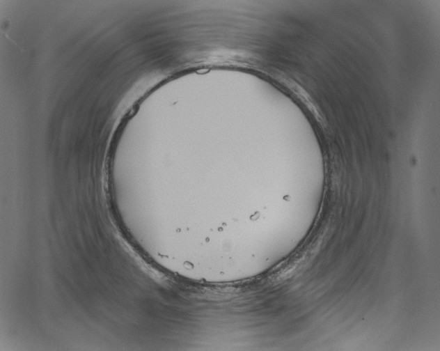 X0000067351285200604281432