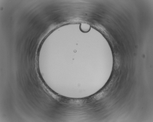 X0000067351286200604281432