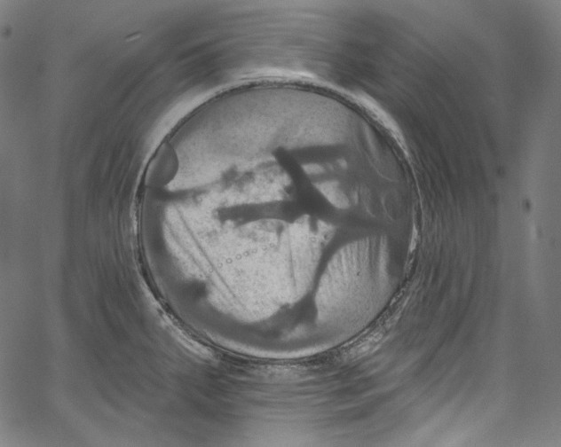 X0000067351287200604281432